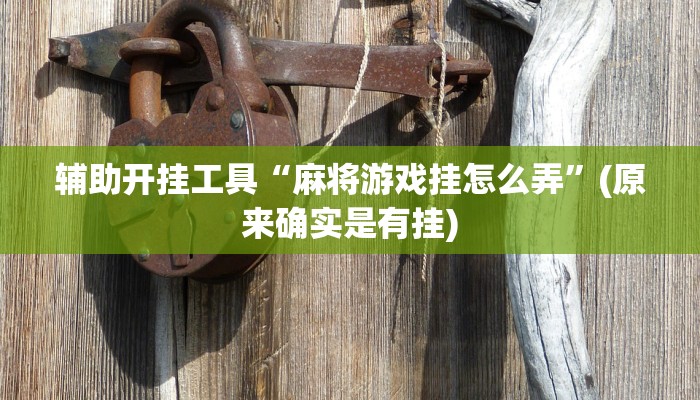 辅助开挂工具“麻将游戏挂怎么弄”(原来确实是有挂)