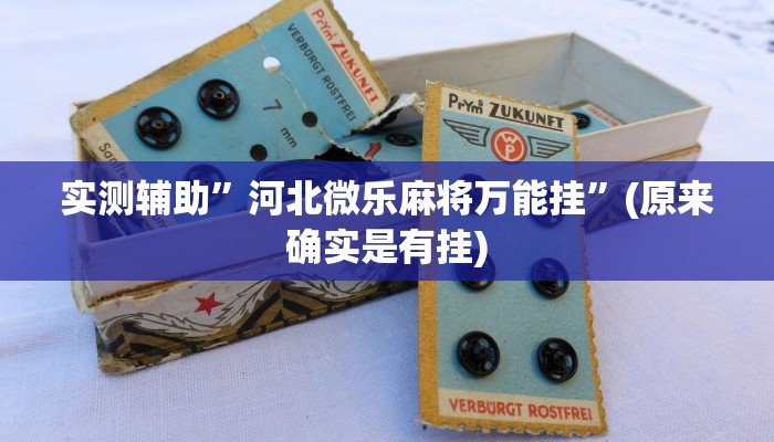 实测辅助”河北微乐麻将万能挂”(原来确实是有挂)