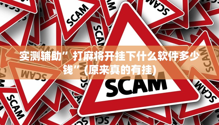 实测辅助”打麻将开挂下什么软件多少钱”(原来真的有挂)