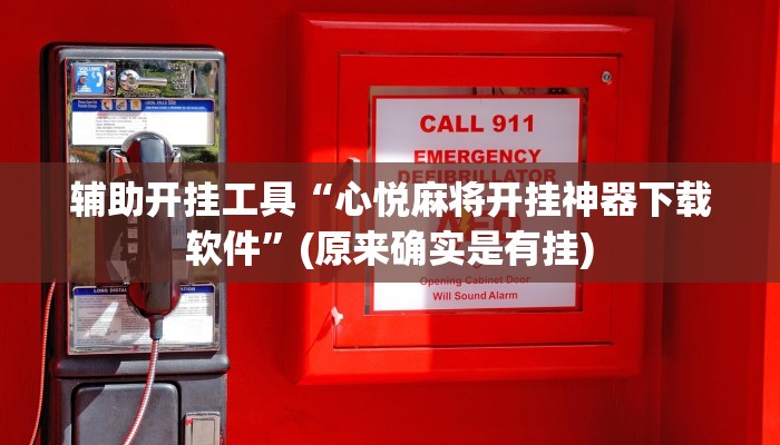 辅助开挂工具“心悦麻将开挂神器下载软件”(原来确实是有挂)