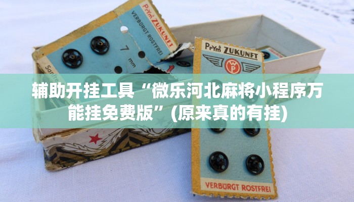 辅助开挂工具“微乐河北麻将小程序万能挂免费版”(原来真的有挂)
