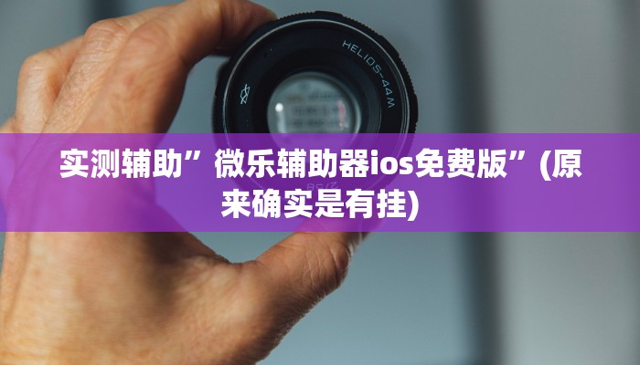 教程辅助!“中至万年麻将有挂装不!专业师傅带你一起了解(确实有挂)