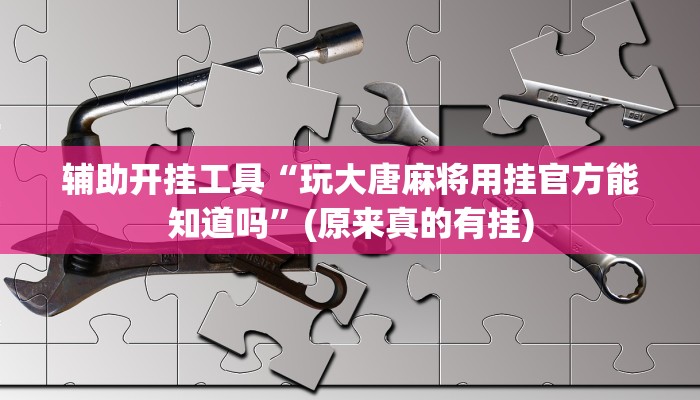 辅助开挂工具“玩大唐麻将用挂官方能知道吗”(原来真的有挂)