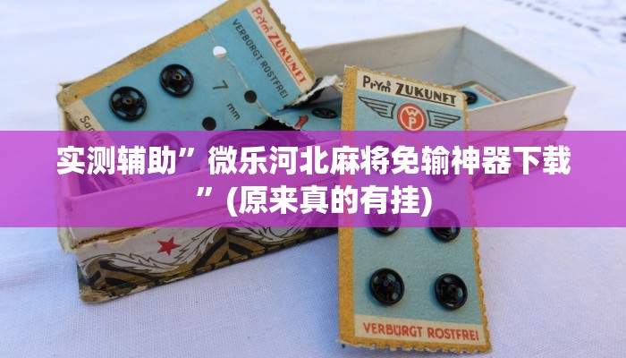实测辅助”微乐河北麻将免输神器下载”(原来真的有挂)