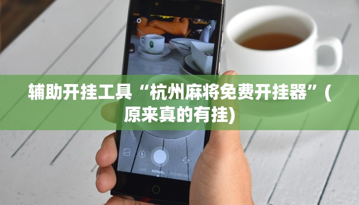 辅助开挂工具“杭州麻将免费开挂器”(原来真的有挂)