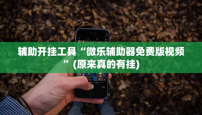 辅助开挂工具“微乐辅助器免费版视频”(原来真的有挂)
