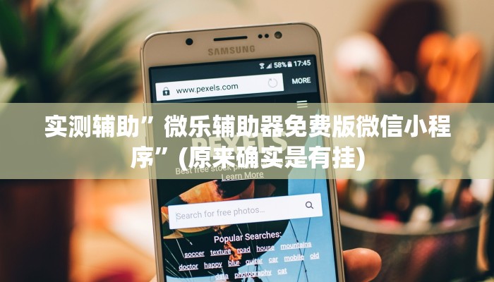实测辅助”微乐辅助器免费版微信小程序”(原来确实是有挂)