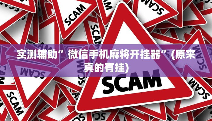 实测辅助”微信手机麻将开挂器”(原来真的有挂)