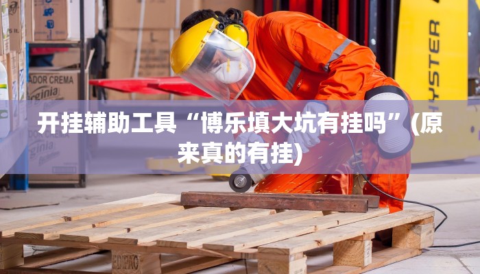 开挂辅助工具“博乐填大坑有挂吗”(原来真的有挂)