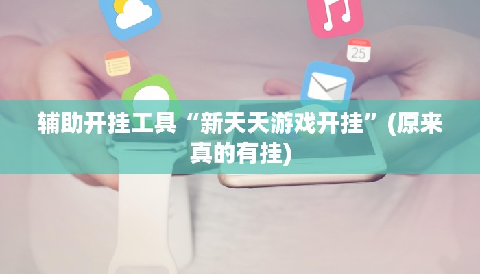 辅助开挂工具“新天天游戏开挂”(原来真的有挂)