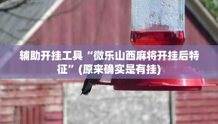 辅助开挂工具“微乐山西麻将开挂后特征”(原来确实是有挂)