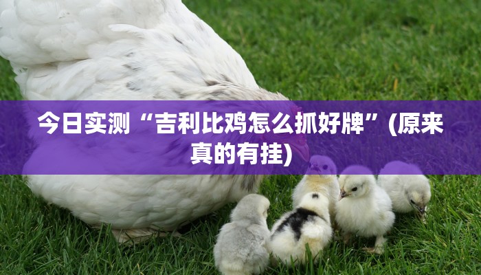 今日实测“吉利比鸡怎么抓好牌”(原来真的有挂)