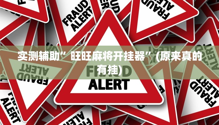 实测辅助”旺旺麻将开挂器”(原来真的有挂)