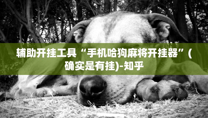 分享实测“青鸟大厅有挂吗”详细教程辅助工具