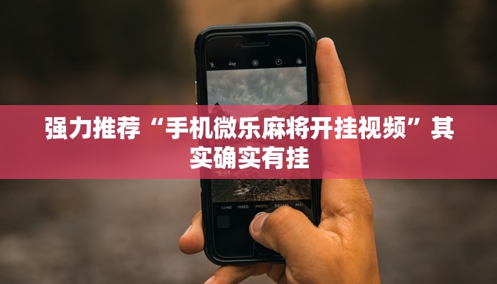 今日教程“微乐安徽麻将能开挂吗”其实确实有挂