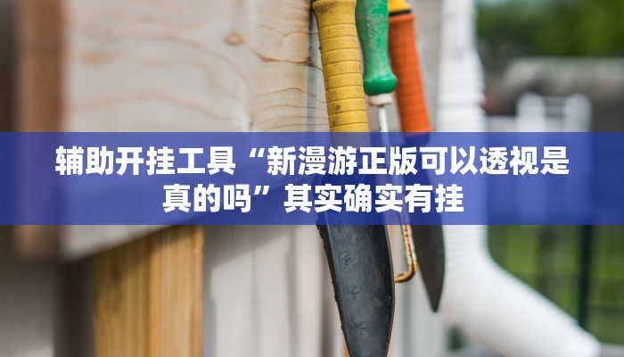 辅助开挂工具“新漫游正版可以透视是真的吗”其实确实有挂
