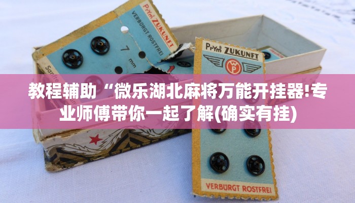 教程辅助“微乐湖北麻将万能开挂器!专业师傅带你一起了解(确实有挂)