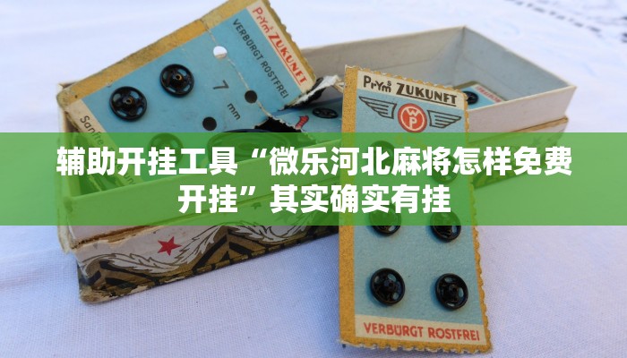 辅助开挂工具“微乐河北麻将怎样免费开挂”其实确实有挂
