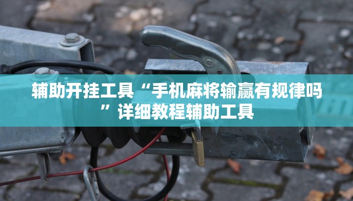 辅助神器“广东雀神谁买过作弊”(详细透视教程)-知乎
