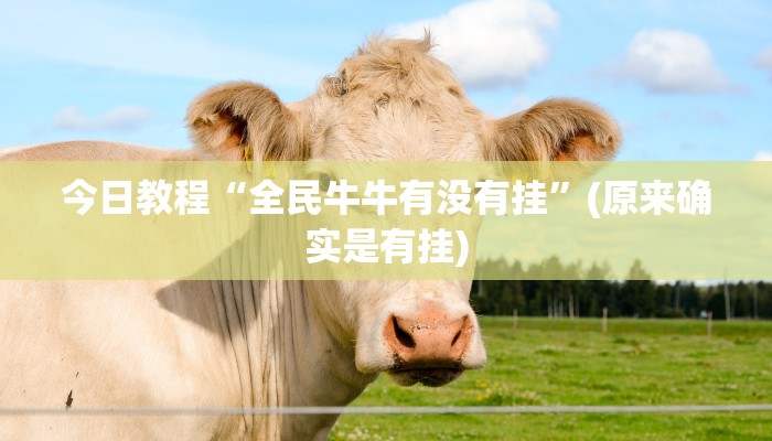 今日教程“全民牛牛有没有挂”(原来确实是有挂)