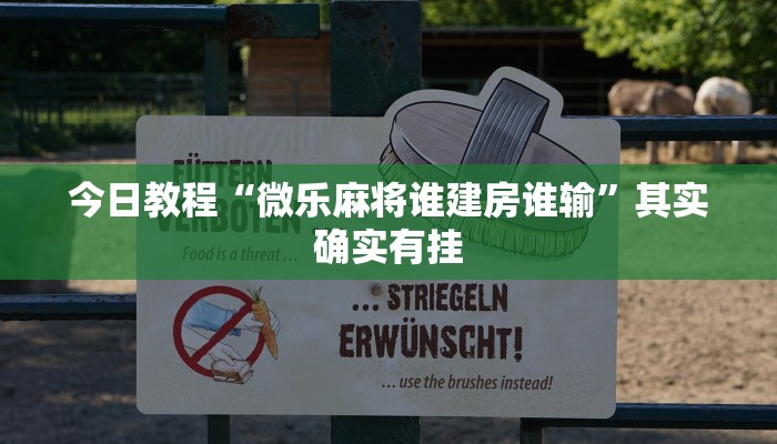 今日教程“微乐麻将谁建房谁输”其实确实有挂