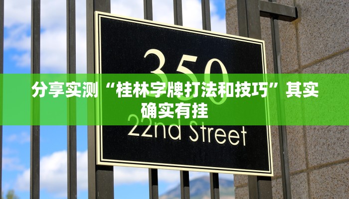 强力推荐“乐乐围棋入门免费开挂!详细分享装挂步骤