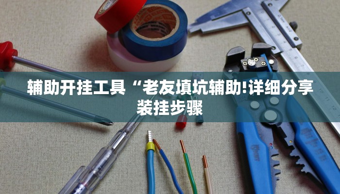 辅助开挂工具“老友填坑辅助!详细分享装挂步骤