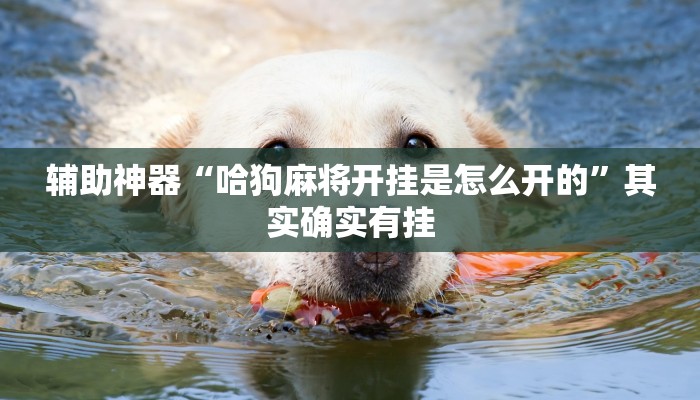 辅助神器“哈狗麻将开挂是怎么开的”其实确实有挂