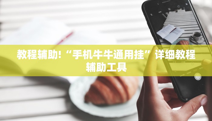 教程辅助!“手机牛牛通用挂”详细教程辅助工具