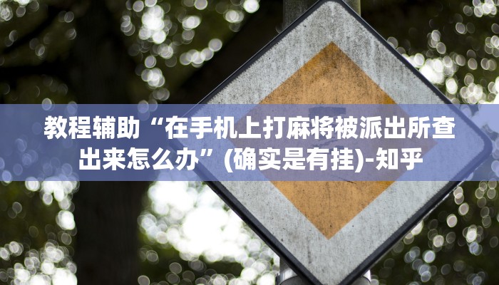 教程辅助“在手机上打麻将被派出所查出来怎么办”(确实是有挂)-知乎