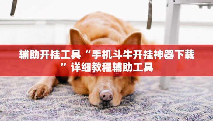 辅助开挂工具“手机斗牛开挂神器下载”详细教程辅助工具