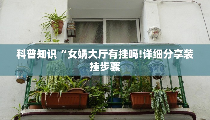 科普知识“女娲大厅有挂吗!详细分享装挂步骤