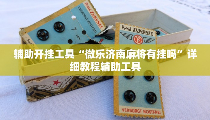 辅助开挂工具“微乐济南麻将有挂吗”详细教程辅助工具