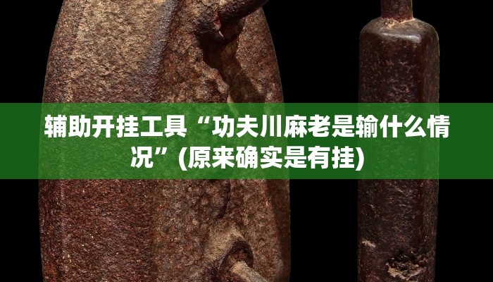 辅助开挂工具“功夫川麻老是输什么情况”(原来确实是有挂)
