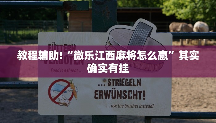 教程辅助!“微乐江西麻将怎么赢”其实确实有挂