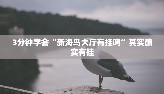3分钟学会“新海鸟大厅有挂吗”其实确实有挂