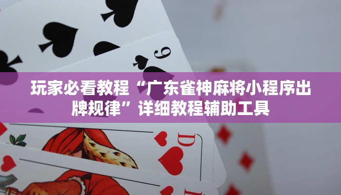 玩家必看教程“广东雀神麻将小程序出牌规律”详细教程辅助工具
