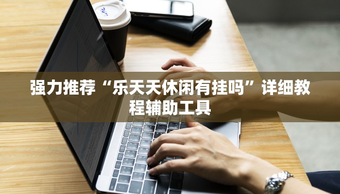 强力推荐“乐天天休闲有挂吗”详细教程辅助工具