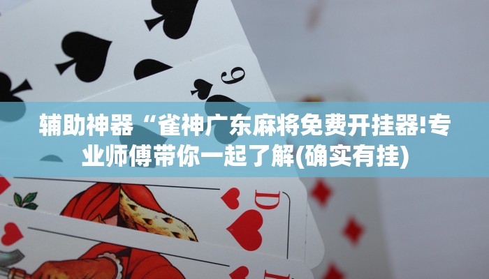 辅助神器“雀神广东麻将免费开挂器!专业师傅带你一起了解(确实有挂)
