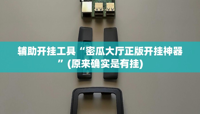 辅助开挂工具“密瓜大厅正版开挂神器”(原来确实是有挂)