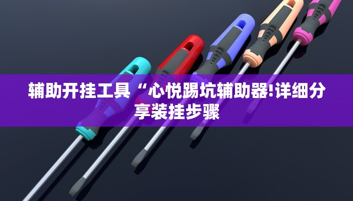 辅助开挂工具“心悦踢坑辅助器!详细分享装挂步骤