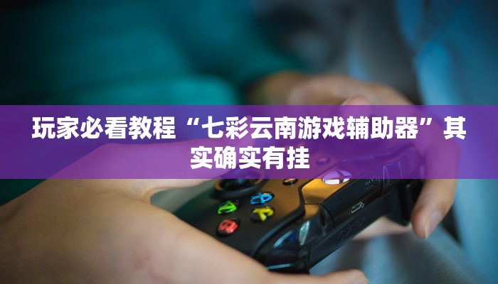 玩家必看教程“七彩云南游戏辅助器”其实确实有挂