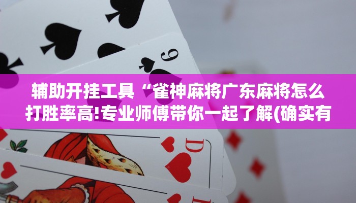 辅助开挂工具“雀神麻将广东麻将怎么打胜率高!专业师傅带你一起了解(确实有挂)