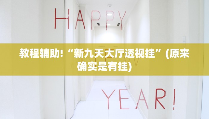 教程辅助!“新九天大厅透视挂”(原来确实是有挂)