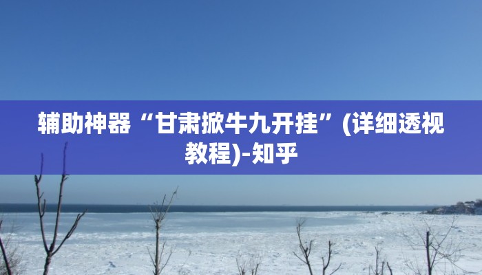 辅助神器“甘肃掀牛九开挂”(详细透视教程)-知乎