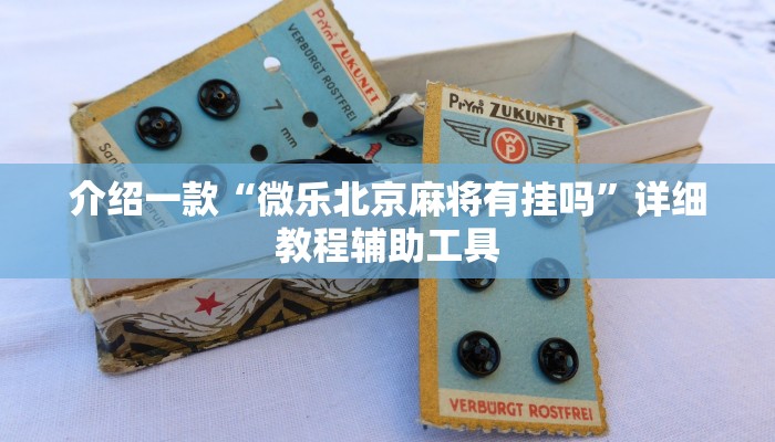 介绍一款“微乐北京麻将有挂吗”详细教程辅助工具