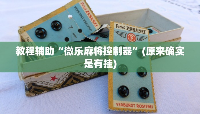 教程辅助“微乐麻将控制器”(原来确实是有挂)