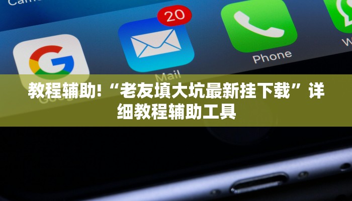 教程辅助!“老友填大坑最新挂下载”详细教程辅助工具