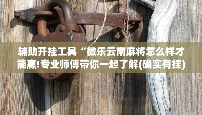 辅助开挂工具“微乐云南麻将怎么样才能赢!专业师傅带你一起了解(确实有挂)
