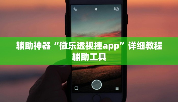 辅助神器“微乐透视挂app”详细教程辅助工具